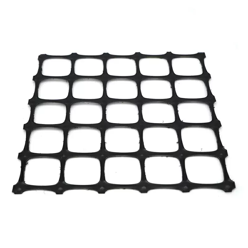 Geogrid