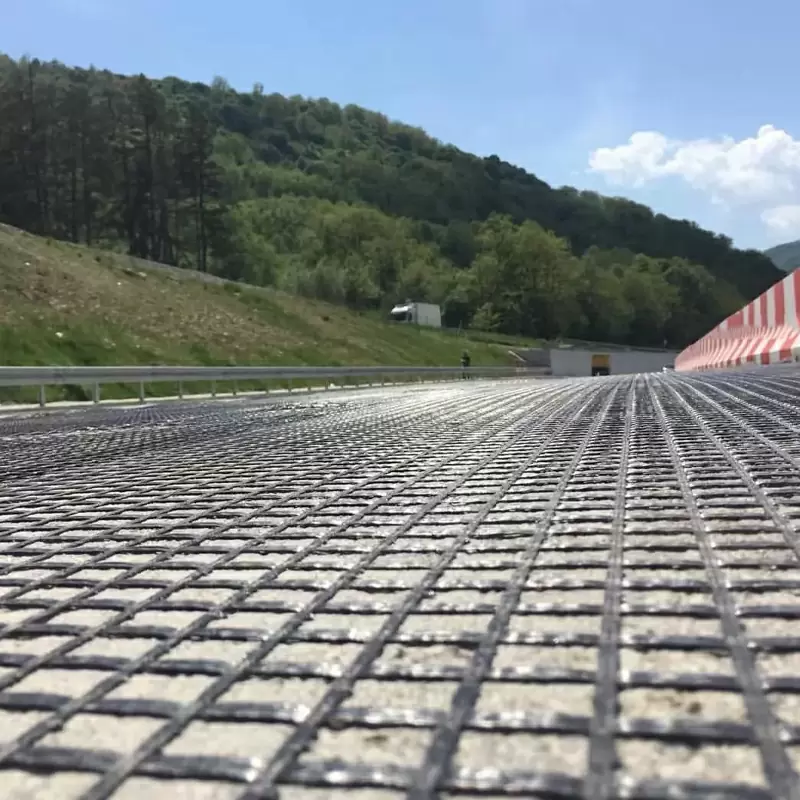 Geogrid